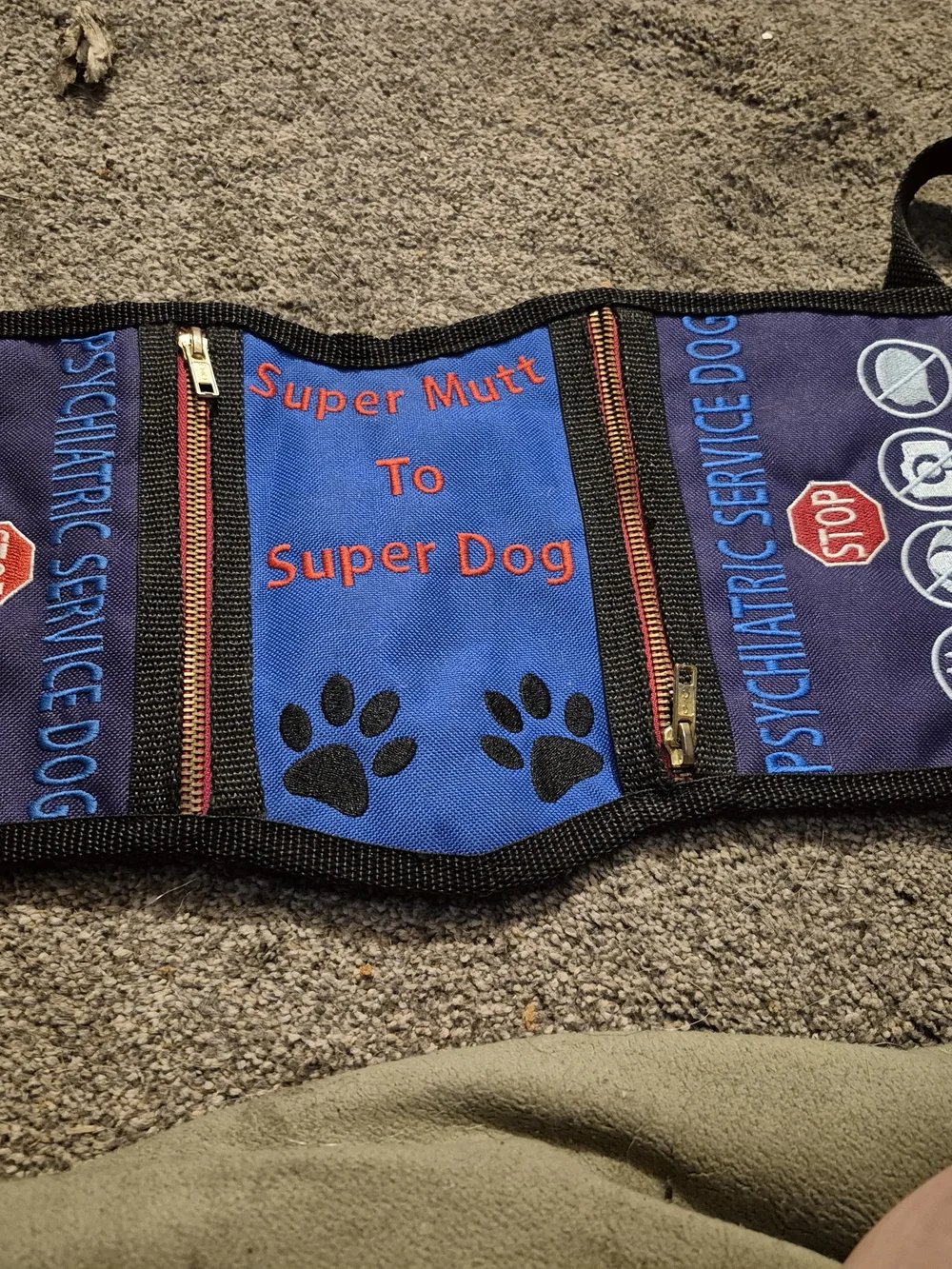 Psychiatric Service Dpg Vest